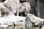 DSC_9154.JPG